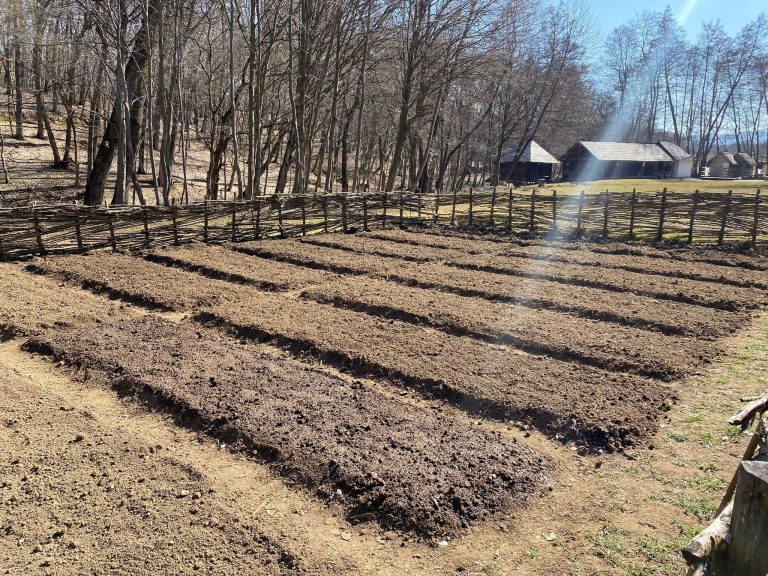 Gospodarii din Muzeul ASTRA au început campania de primăvară