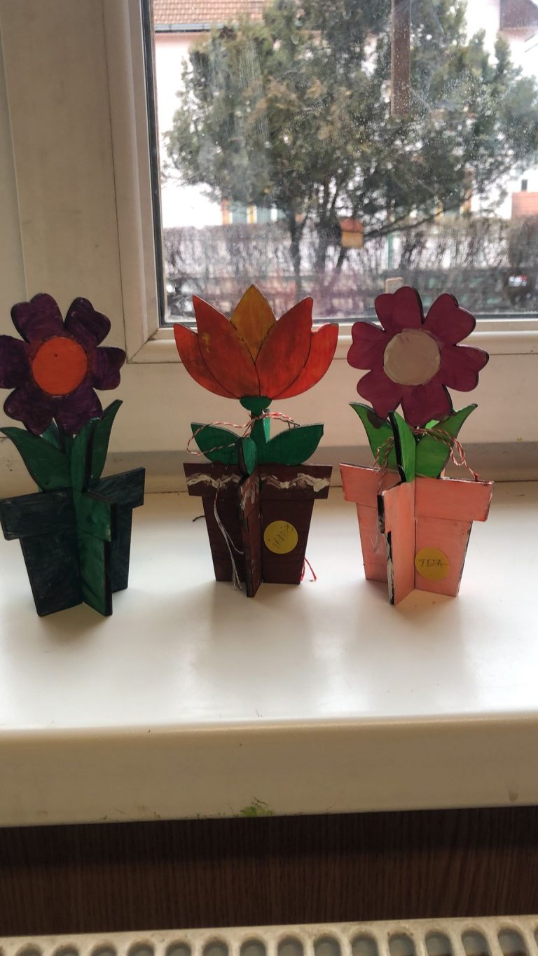 O școală din Sibiu a înlocuit buchetele de flori de 8 Martie cu donații pentru ucraineni