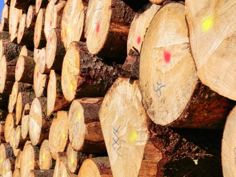 Romsilva adoptă măsuri pentru majorarea volumului de lemn pentru foc oferit populației