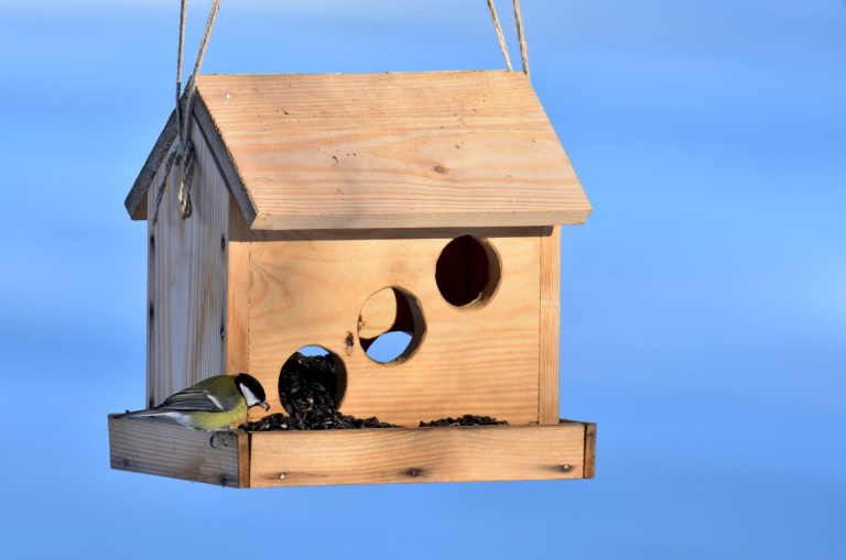 Peste 600 de vizitatori au hrănit păsările din Muzeul ASTRA