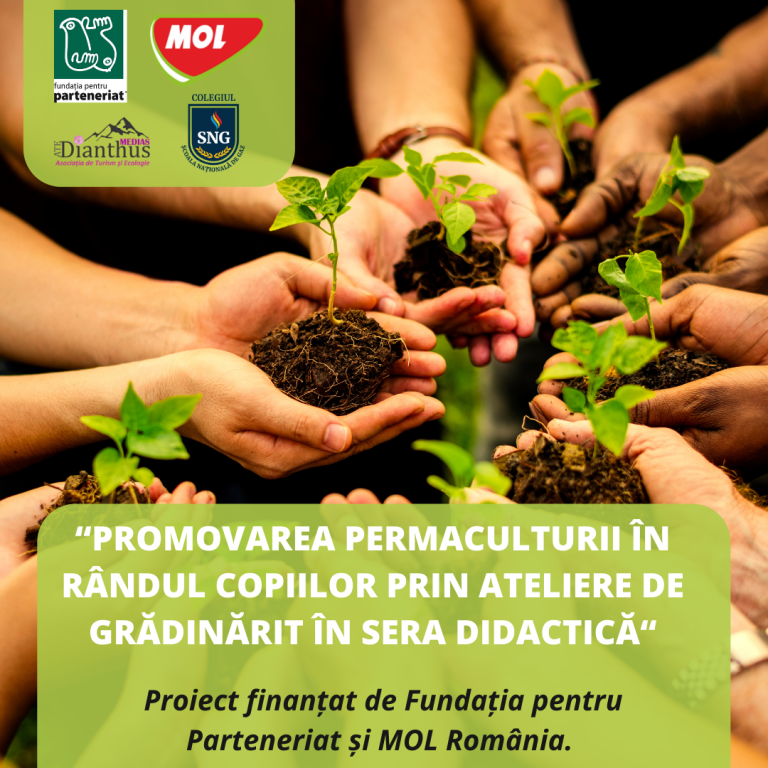 Seră didactică la SNG Mediaş în urma unui proiect al Asociaţiei Dianthus