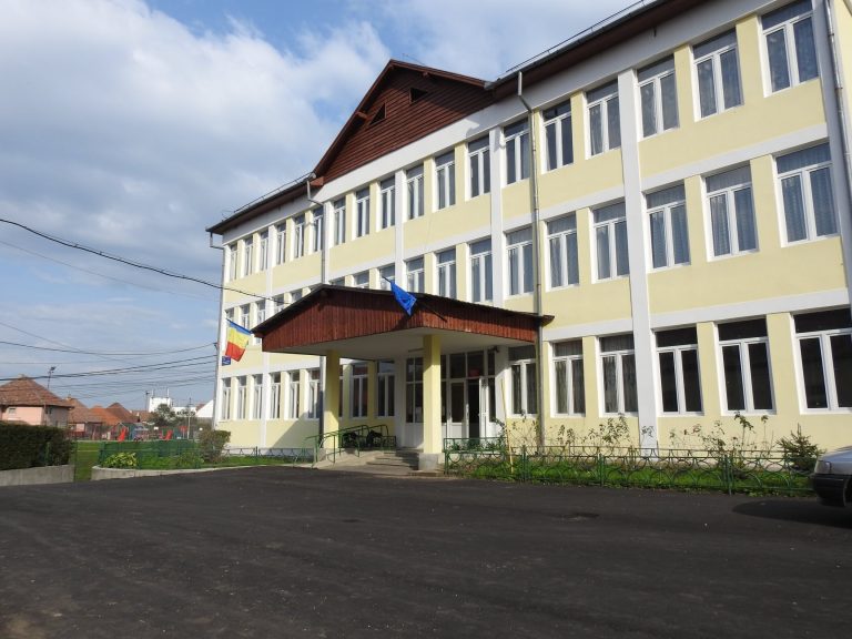 Copiii din Cisnădie vor învăța, de anul viitor, handbal și fotbal la școală