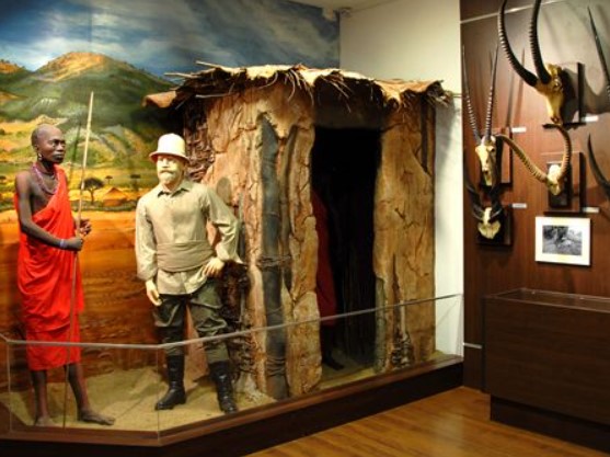 „Trofeele de aur” ale Muzeului de Vânătoare, expuse online