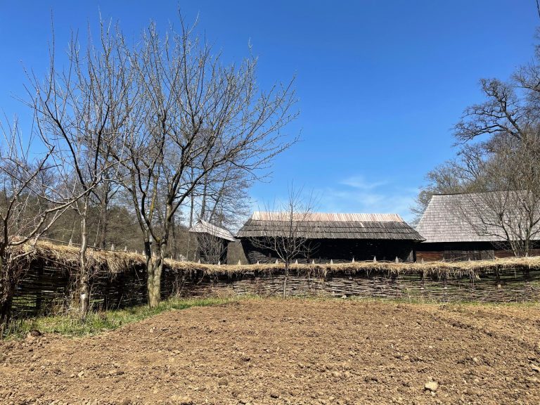 Grădină de plante medicinale și tinctoriale, în Muzeul din Dumbrava Sibiului