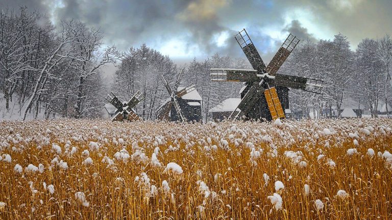 FOTO GALERIE Fotografii sibieni, medalie de argint la Fotoclubul anului în România