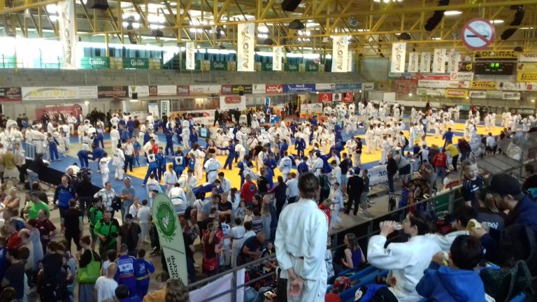 Prestație bună pentru sibieni în Austria