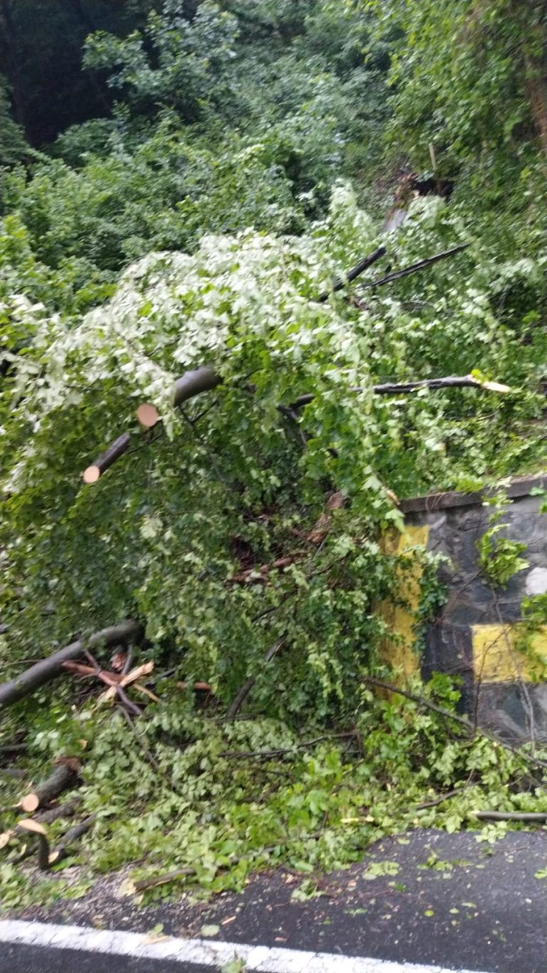 FOTO: Trafic blocat pe Valea Oltului aproape o oră, miercuri dimineața