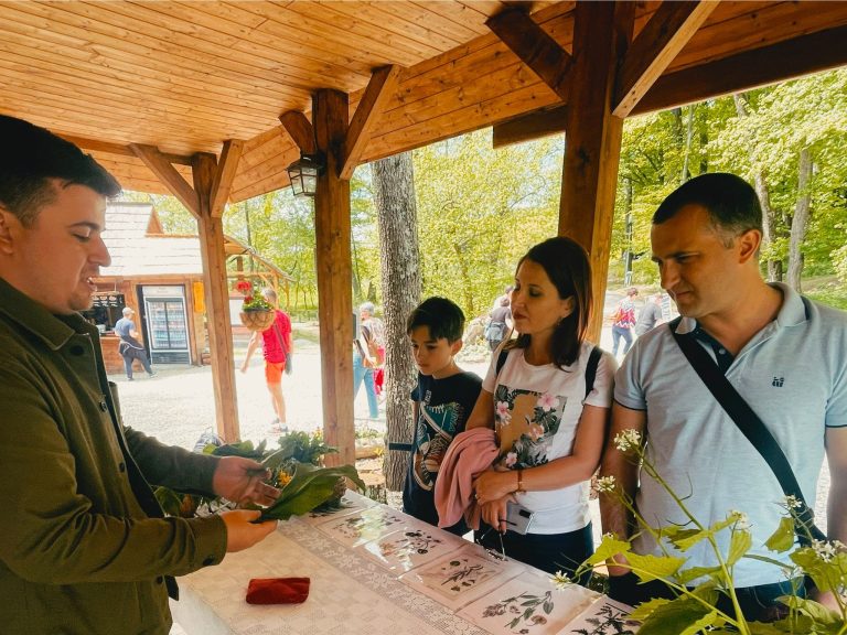 Beneficiile plantelor de primăvară, descoperite în Muzeul Satului