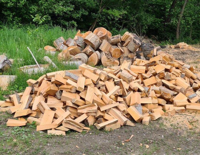 Direcția Silvică Sibiu asigură lemnele de foc pentru sibieni