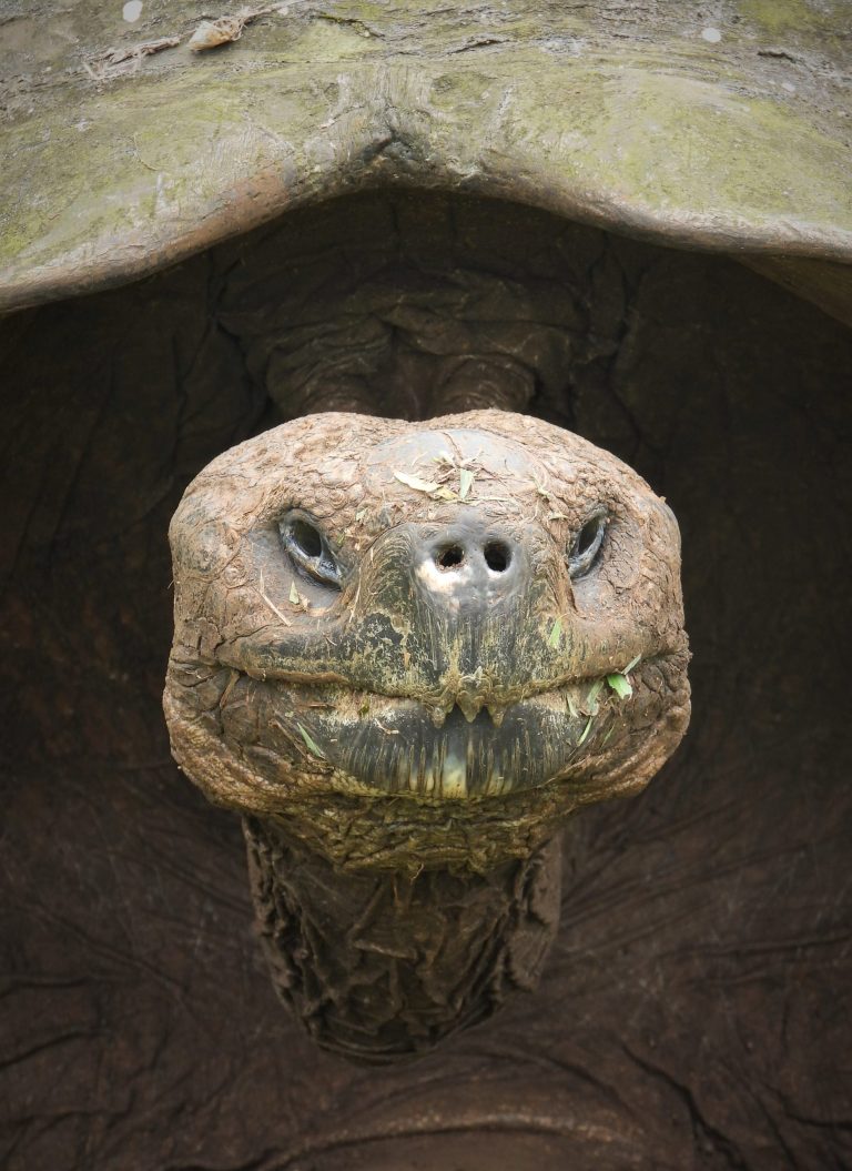 „Pe urmele lui Darwin”, la Palatul „Brukenthal”