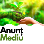 Anunt mediu