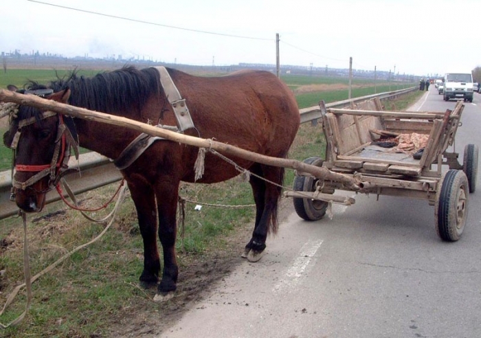 Căruță nesemnalizată, lovită de un autoturism