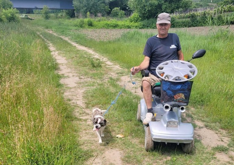 FOTO Căţeluş salvat din râul Târnava Mare. Patrupedul a fost adoptat de salvator