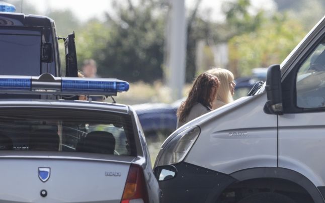 Elena Udrea a ajuns la Penitenciarul Târgşor