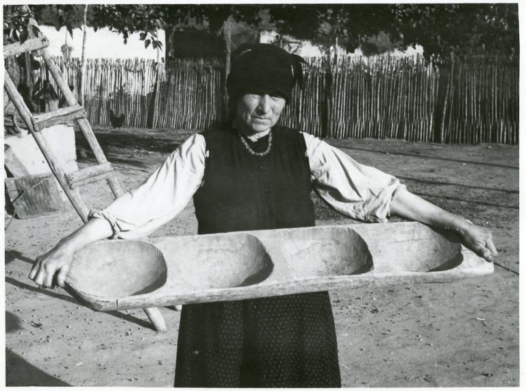 Sărbătoarea Deltei din Muzeul ASTRA a fost amânată