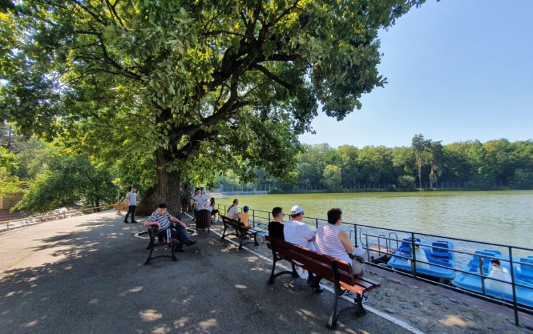 Condiții speciale pentru animalele de la Zoo pe timp de caniculă