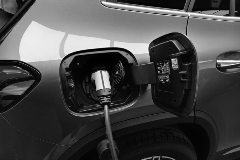 Au scăzut dramatic înmatriculările de mașini electrice în UE