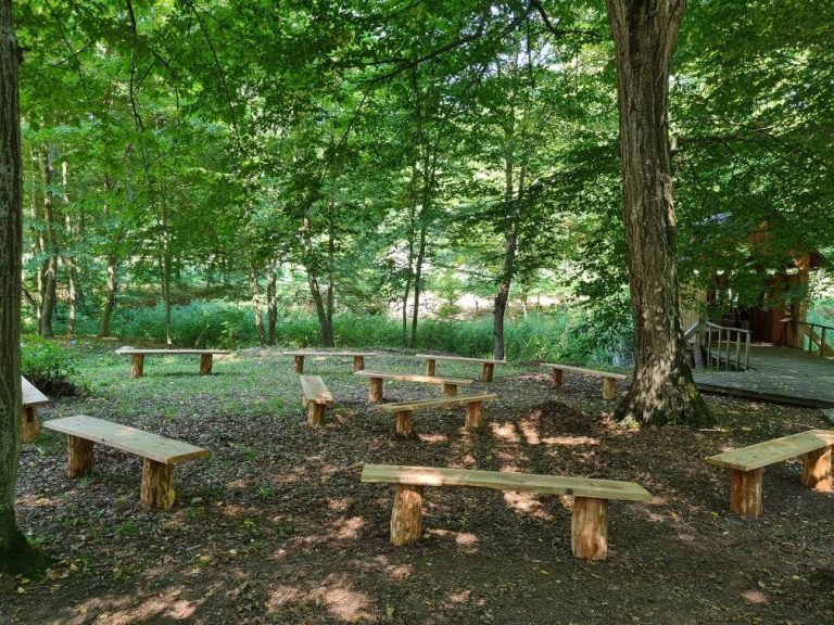 Expoziția „ASTRA Poetic”, inaugurată la finalul săptămânii viitoare