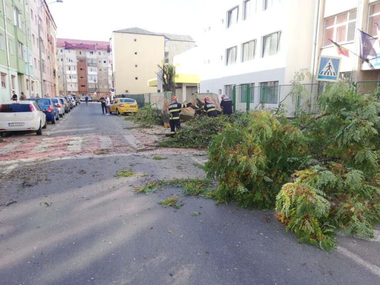 FOTO O anexă a fost lovită de trăsnet, în Agnita. Pompierii au intervenit și pentru îndepărtarea copacilor căzuți pe șoselele din județ