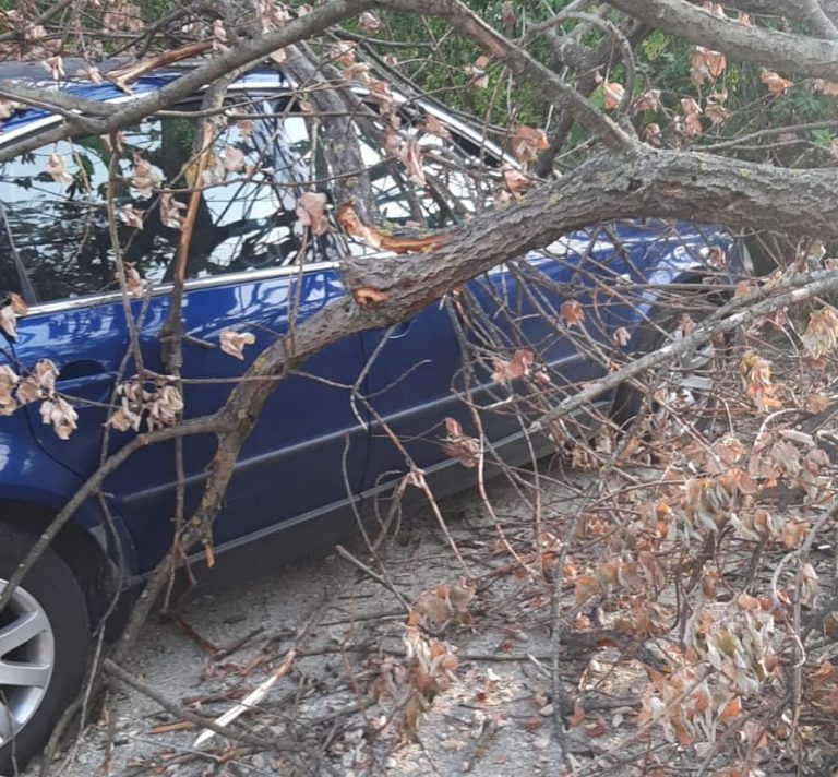 FOTO Urmările Codurilor Portocaliu și Galben de vreme rea, în Sibiu și Mediaș