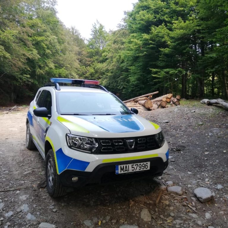 Zeci de amenzi în județul Sibiu la societățile de prelucrare a lemnului