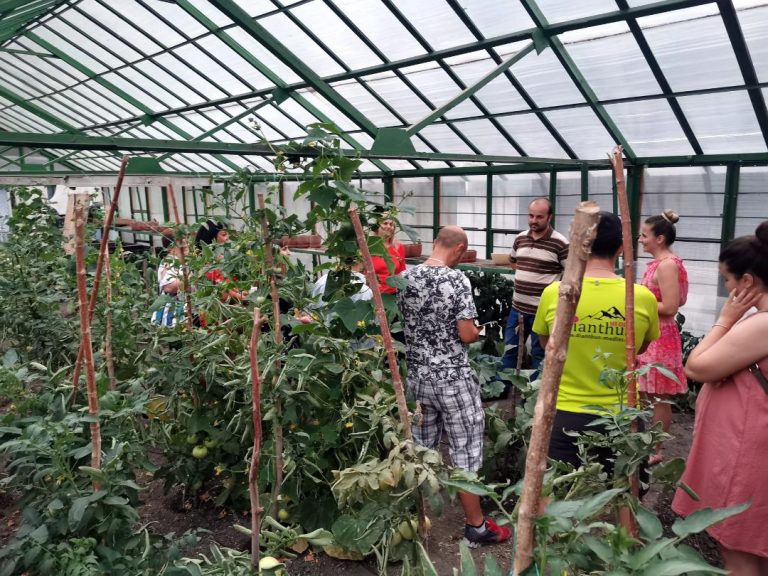 FOTO Ziua Porților Deschise la Sera Didactică și Ziua Permaculturii, la Mediaș