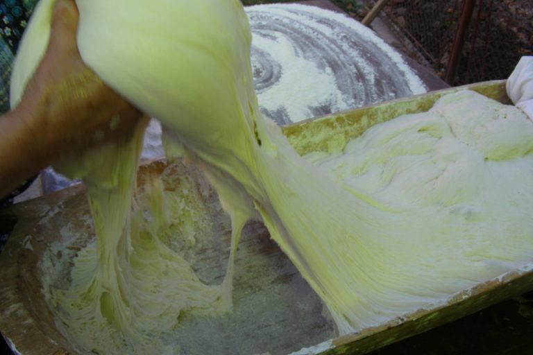 Copiii află „Cum se face… pâinea”, în Muzeul Satului