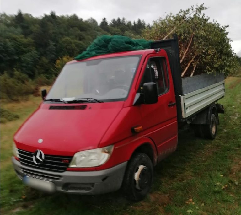 Amenzi de mii de lei pentru mai multe persoane care transportau lemne fără documente