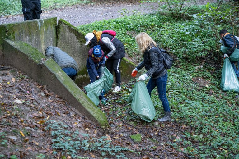 FOTO Patru tone de deșeuri strânse la campania „Let’s do it, Mediaș”