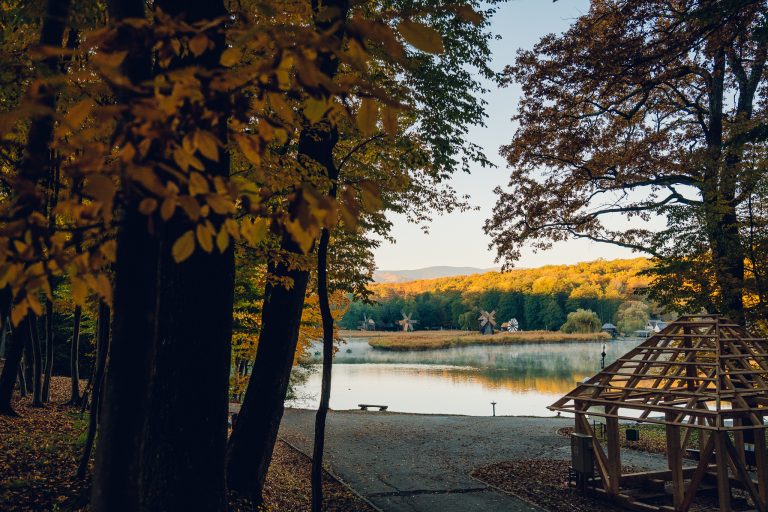 Muzeul ASTRA își schimbă programul de vizitare