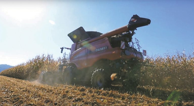 Zelenski cere tranzitul cerealelor ucrainene prin România. Fermierii români cer să fie puși pe primul loc