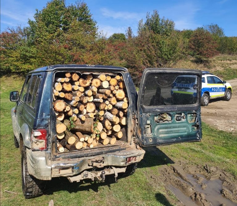 FOTO Patru persoane amendate pentru transport de lemne fără documente