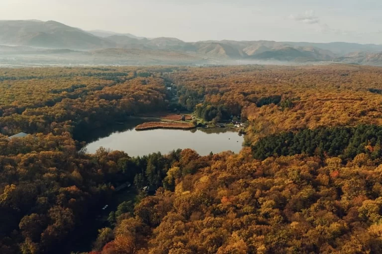 Muzeul ASTRA și-a schimbat programul de vizitare