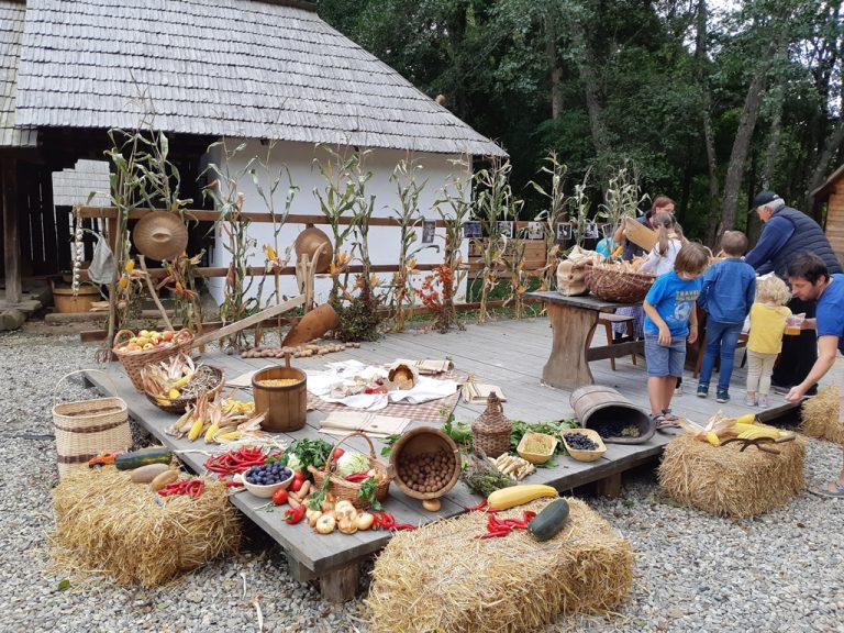 Recolta, sărbătorită în weekend cu ciorbă de varză cu carne de oaie și iahnie de fasole cu cârnați și costiță, în Muzeul ASTRA