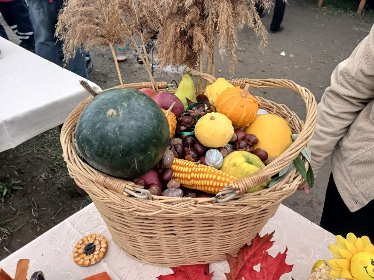 FOTO Produse de toamnă, distracție și concerte la Ziua Recoltei din Târnava