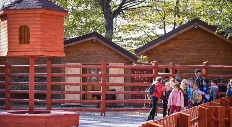O nouă atracție la Grădina Zoologică Sibiu: Ferma Animalelor