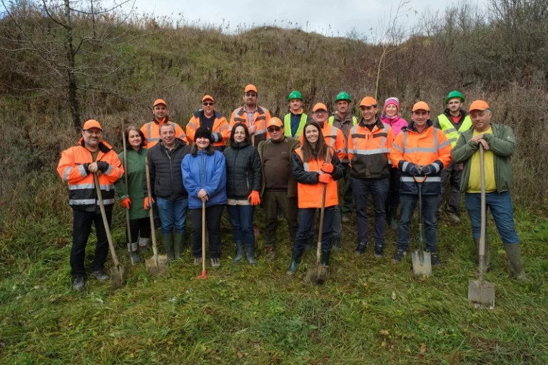 Wienerberger extinde  spațiul verde din  incinta fabricii din Sibiu