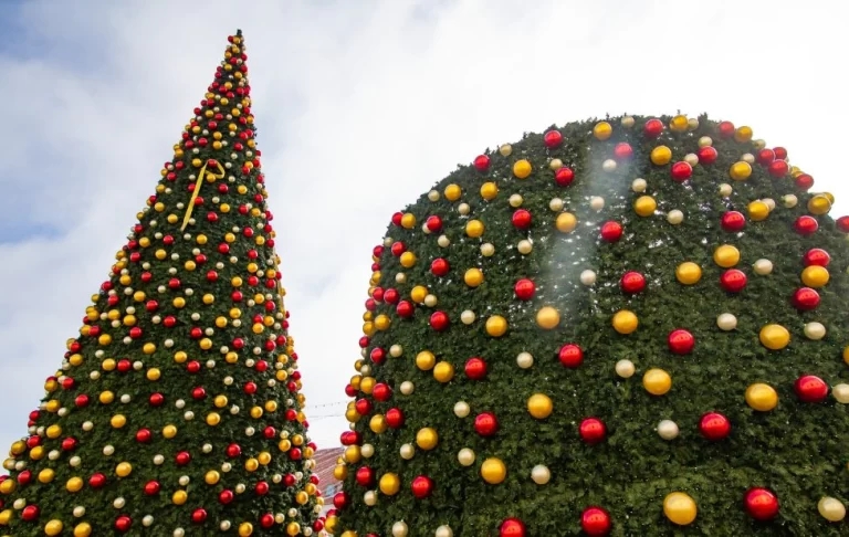 A început montarea bradului de Crăciun din Piața Mare