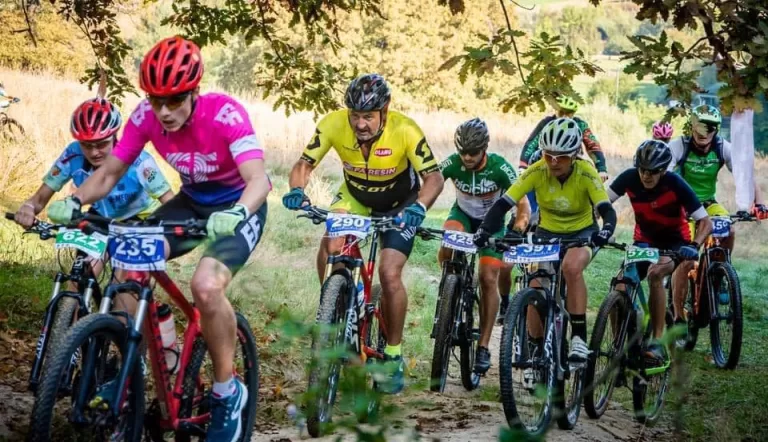 Mediașul va avea 11 kilometri de traseu cicloturistic