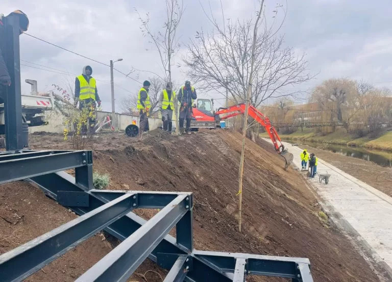 Malurile Cibinului prind contur. Aproape 1500 de arbori și arbuști au fost deja plantați