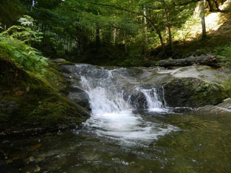 Criza globală a apei: Râurile au secat în 2023 în cel mai mare ritm din ultimele trei decenii