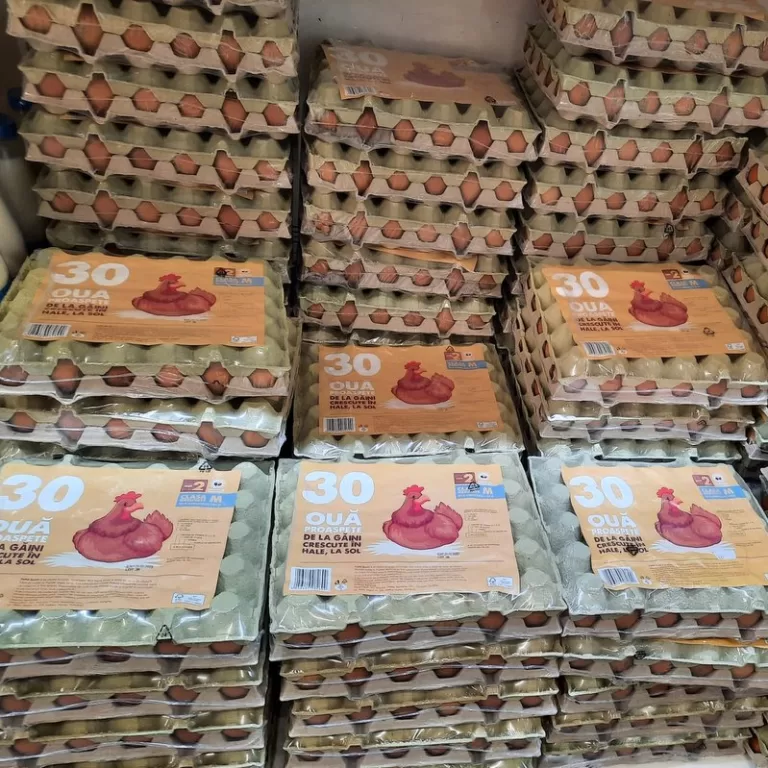 Investiţie de peste un milion de euro la Cristian