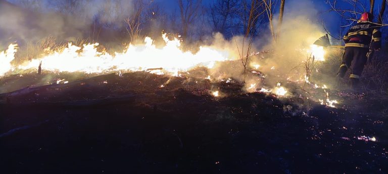 FOTO Cinci hectare de vegetație uscată au ars, la Biertan
