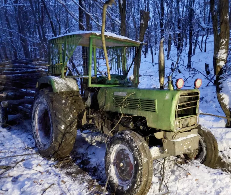 FOTO Șapte persoane, reținute pentru tăiere ilegală și furt de arbori