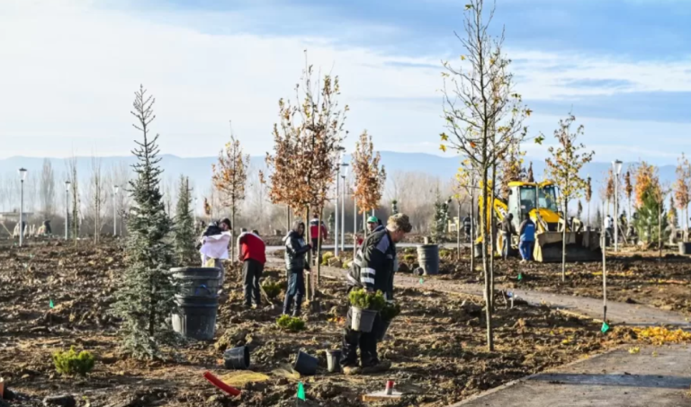 Cine sunt câștigătorii concursului pentru denumirea noului parc din Sibiu. Vezi lista premiilor