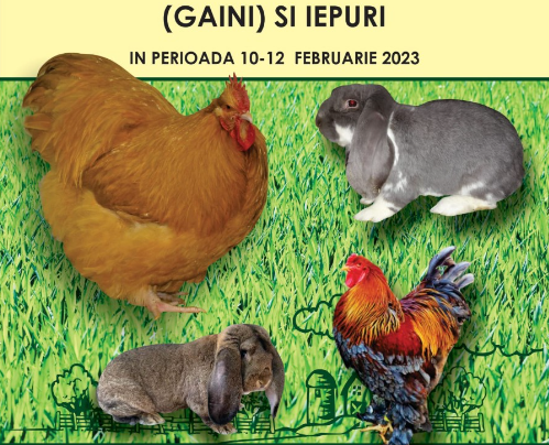 Sibienii sunt invitați la expoziția interjudețeană de păsări și animale de rasă