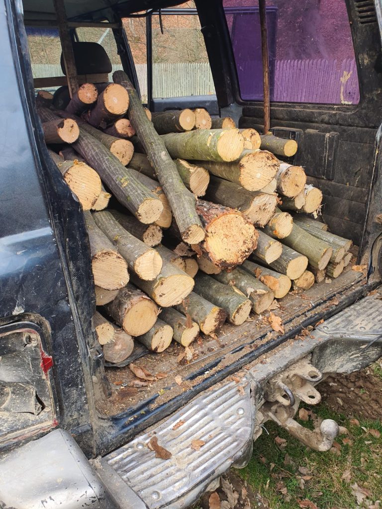 Prins cu lemne fără documente, un bărbat a rămas fără motofierăstrău și a fost amendat