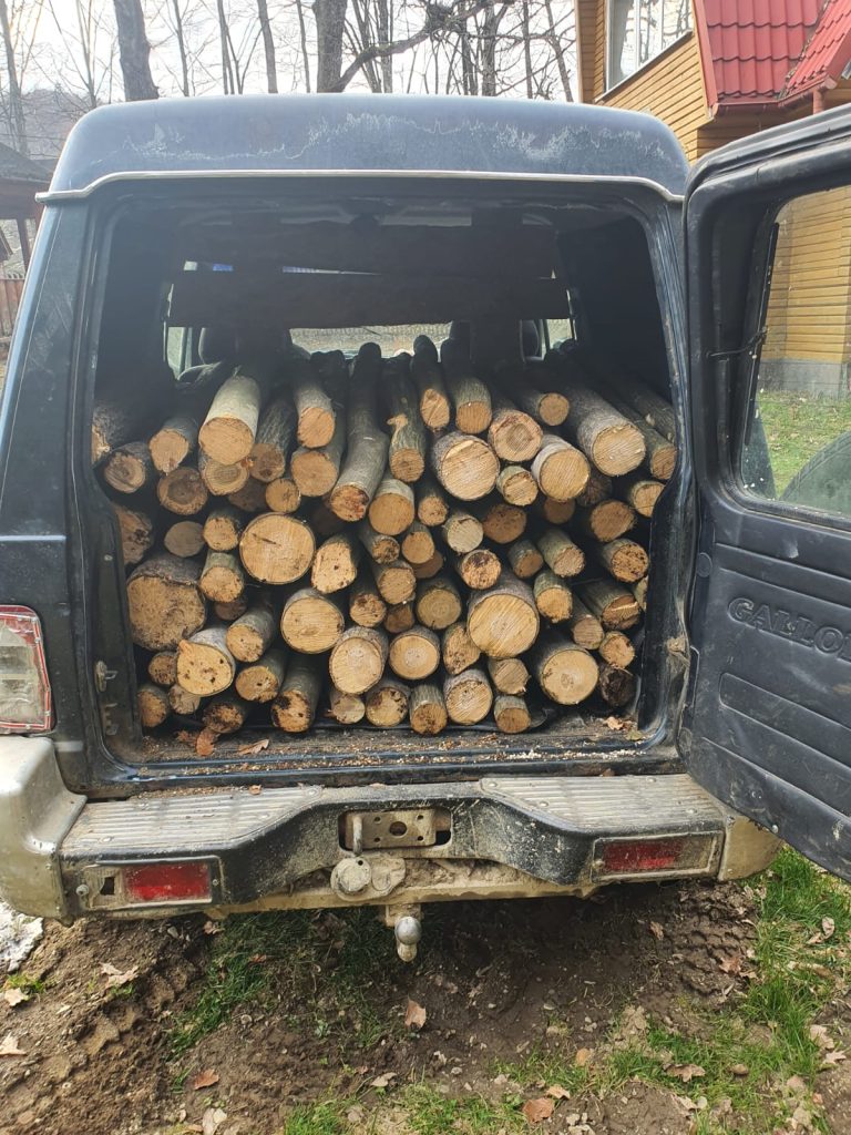 FOTO Doi bărbați, amendați cu mii de lei pentru furt de lemne