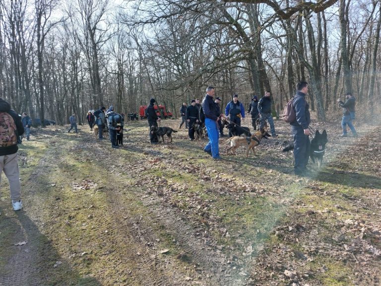 Nici urmă de Angelika. Căutările studentei din Sibiu nu au adus niciun rezultat