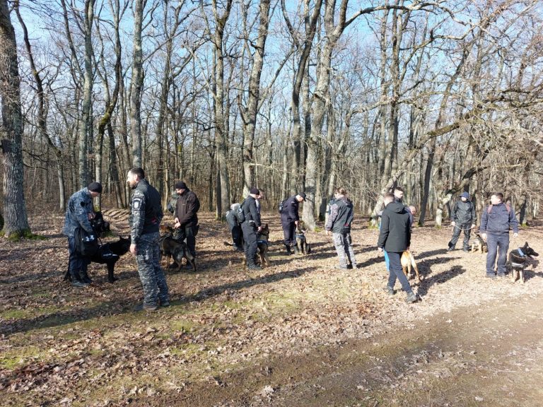 FOTO Sute de persoane s-au mobilizat pentru căutarea unei studente din Sibiu care a dispărut în februarie